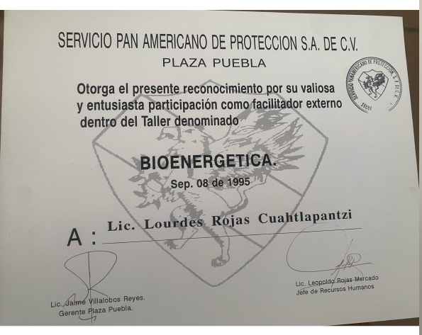 certificado1-08